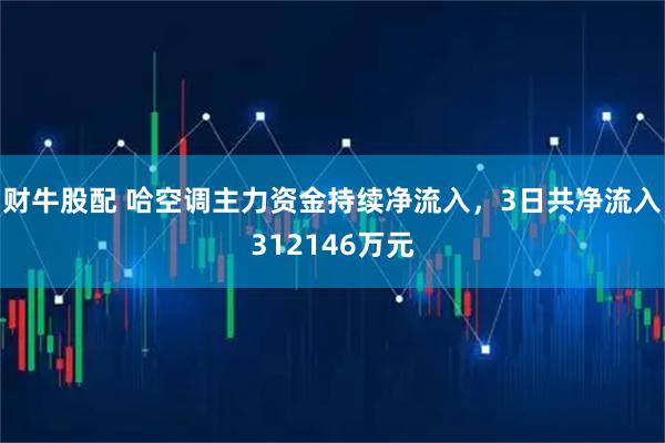 财牛股配 哈空调主力资金持续净流入，3日共净流入312146万元
