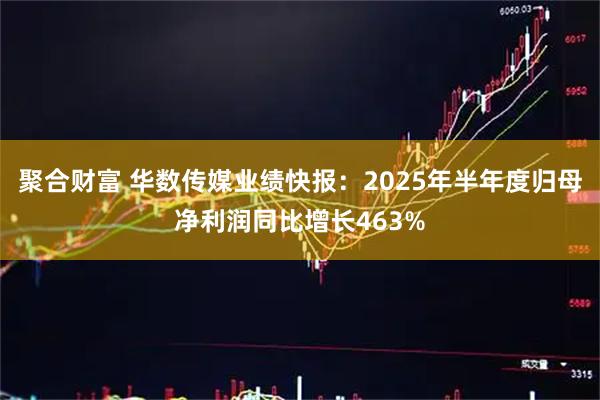 聚合财富 华数传媒业绩快报：2025年半年度归母净利润同比增长463%