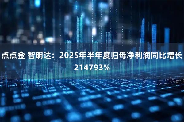 点点金 智明达:2025年半年度归母净利润同比增长214793%