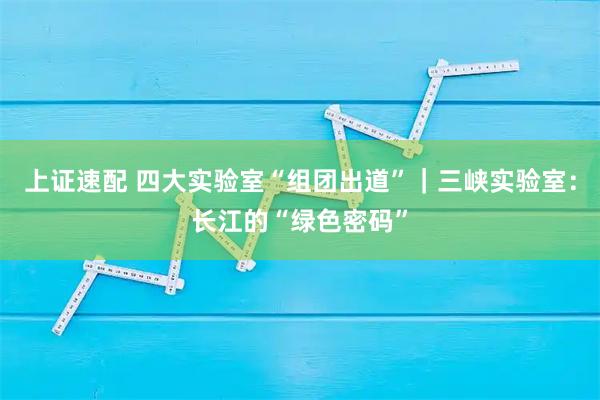 上证速配 四大实验室“组团出道”｜三峡实验室：长江的“绿色密码”